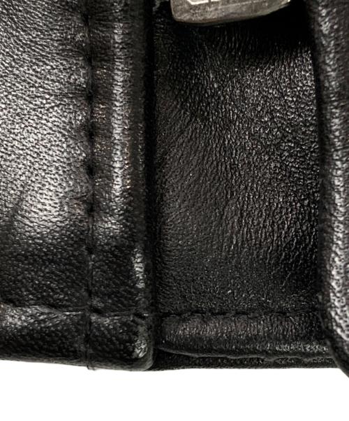 Schott（ショット）Schott (ショット) stussy (ステューシー) ダブルライダースジャケット ブラック サイズ:38の古着・服飾アイテム