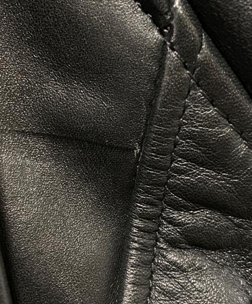 Schott（ショット）Schott (ショット) stussy (ステューシー) ダブルライダースジャケット ブラック サイズ:38の古着・服飾アイテム