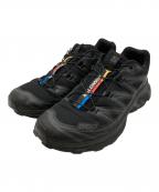 SALOMONサロモン）の古着「XT-6 ADV 