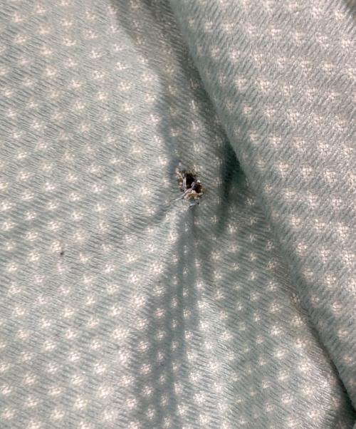 Patagonia（パタゴニア）Patagonia (パタゴニア) クラシックレトロXジャケット グレー×ネイビー サイズ:Sの古着・服飾アイテム