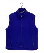 Patagoniaパタゴニア）の古着「シンチラベスト」｜ブルー