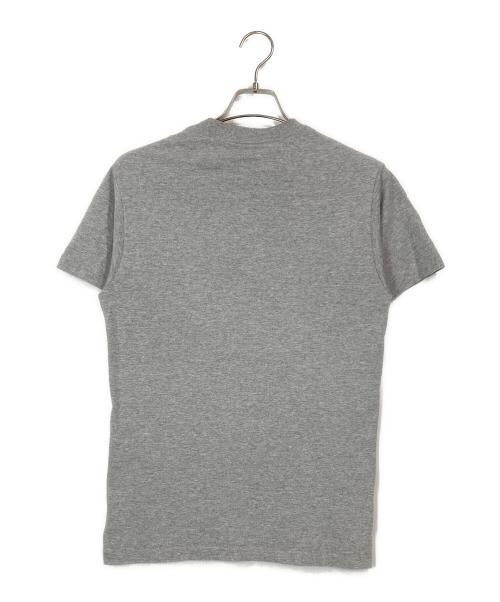 stussy（ステューシー）stussy (ステューシー) STUCCIプリントTシャツ グレー サイズ:Sの古着・服飾アイテム