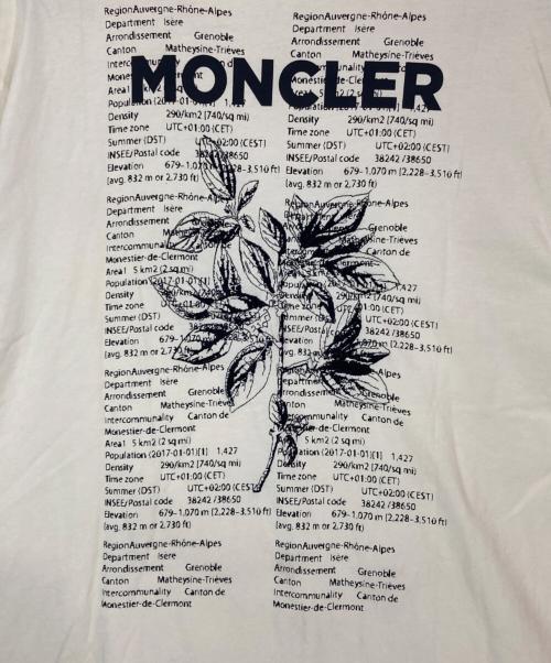 MONCLER（モンクレール）MONCLER (モンクレール) マリアTシャツ ブラウン サイズ:XLの古着・服飾アイテム