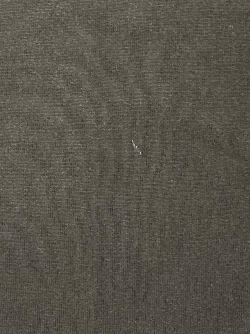 NUMBER (N)INE（ナンバーナイン）NUMBER (N)INE (ナンバーナイン) ダメージ加工スカルTシャツ ブラウン サイズ:2の古着・服飾アイテム
