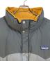 Patagoniaの古着・服飾アイテム：8000円