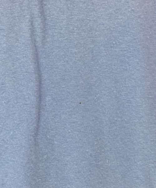 cactus jack（カクタス・ジャック）cactus jack (カクタス・ジャック) プリントTシャツ ブルー サイズ:XXLの古着・服飾アイテム