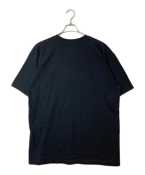 THE NORTH FACE（ザ ノース フェイス）THE NORTH FACE (ザ ノース フェイス) CDG (シーディージー) Icon Short Sleeve T-Shirt ブラック サイズ:Lの古着・服飾アイテム