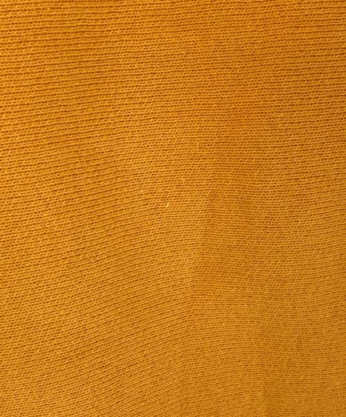 Champion（チャンピオン）Champion (チャンピオン) N.HOOLYWOOD (エヌ ハリウッド) ZIP-UP HOODED SWEATSHIRT オレンジ サイズ:Lの古着・服飾アイテム