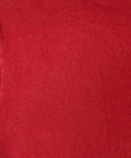 stussy（ステューシー）stussy (ステューシー) プリントTシャツ レッド サイズ:Sの古着・服飾アイテム