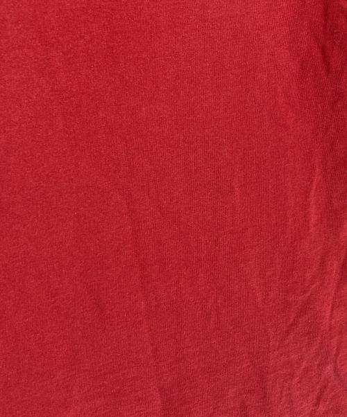 stussy（ステューシー）stussy (ステューシー) プリントTシャツ レッド サイズ:Sの古着・服飾アイテム