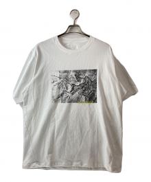 ARC'TERYX（アークテリクス）の古着「"Kragg Cotton Lithographica SS" crewneck T-shirt」｜ホワイト