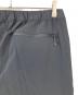 中古・古着 THE NORTH FACE (ザ ノース フェイス) Alpine Light Pant/アルパインライトパンツ ブラック サイズ:M：8000円