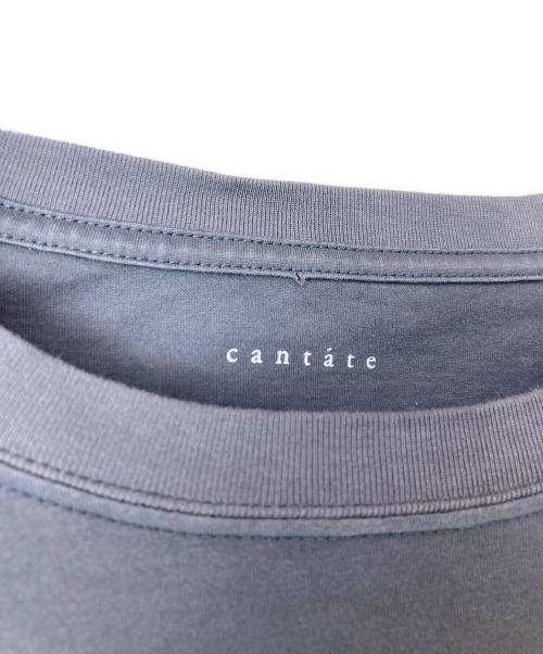 CANTATE（カンタータ）cantate (カンタータ) 26ss Essential S/S Tee ネイビー サイズ:48の古着・服飾アイテム