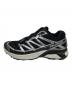 SALOMON (サロモン) XT-EVR M Black/Ftw Silve ブラック サイズ:25cm：10000円