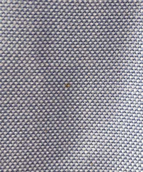 MONCLER（モンクレール）MONCLER (モンクレール) プルオーバーシャツ/CAMICIA COLLO BUTTON DOWN ブルー サイズ:Ｍの古着・服飾アイテム