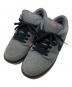 NIKE SB（ナイキエスビー）の古着「SB Dunk Low ISO 