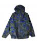 NIKE ACG（ナイキエーシージー）の古着「19AW/GORE-TEX JKT」｜グリーン