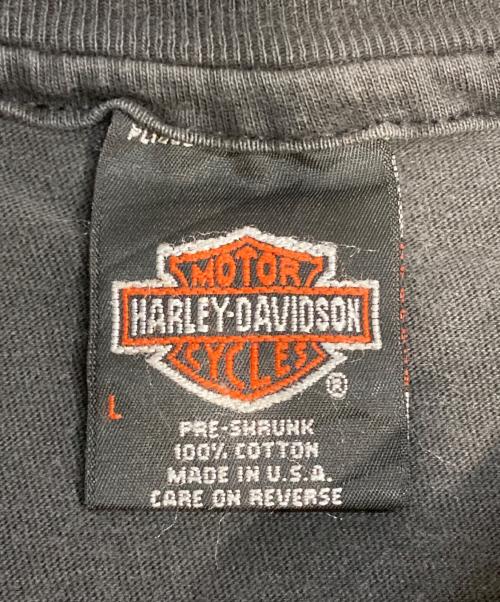 HARLEY-DAVIDSON（ハーレーダビッドソン）HARLEY-DAVIDSON (ハーレーダビッドソン) Hanes BEEFY ポケットカットソー ブラック サイズ:Lの古着・服飾アイテム