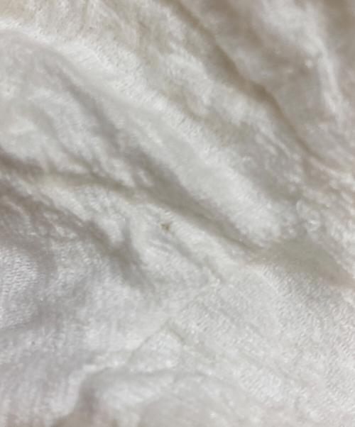 OHGA（オオガ）OHGA (オオガ) POWANリップルパフブラウス ホワイト サイズ:Freeの古着・服飾アイテム