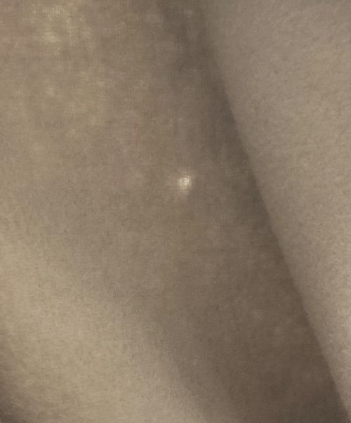 allureville（アルアバイル）allureville (アルアバイル) カシミヤ混ショールカラーミドルコート ベージュ サイズ:Sの古着・服飾アイテム