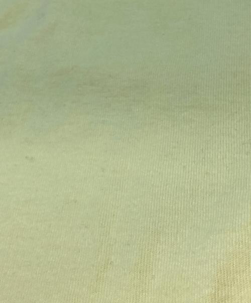 stussy（ステューシー）stussy (ステューシー) SPRING 20 TEE イエロー サイズ:Mの古着・服飾アイテム