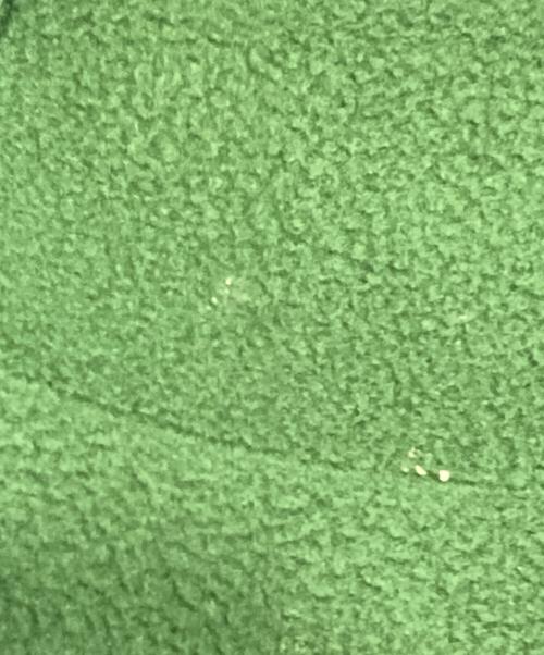 THE NORTH FACE（ザ ノース フェイス）THE NORTH FACE (ザ ノース フェイス) デナリジャケット グリーン サイズ:Sの古着・服飾アイテム