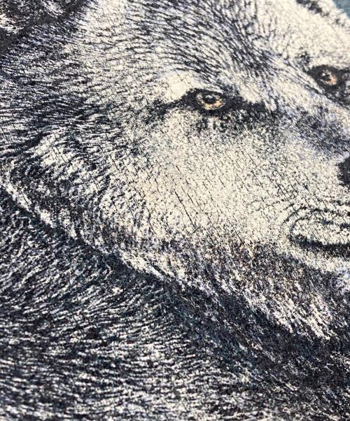 USED（ユーズド）USED (ユーズド) アニマル柄スウェット グリーン サイズ:Lの古着・服飾アイテム