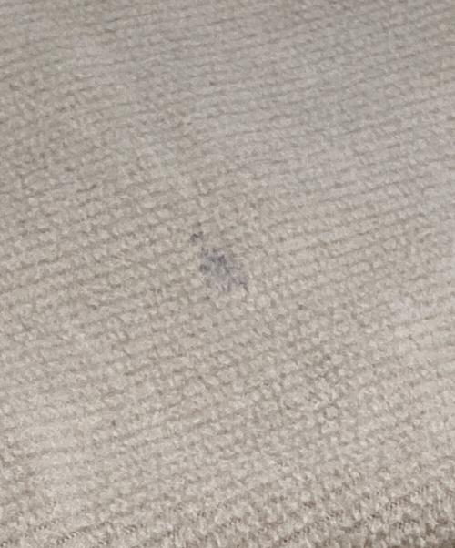 Patagonia SYNCHILLA（パタゴニア シンチラ）Patagonia SYNCHILLA (パタゴニア シンチラ) シンチラフリースジャケット ベージュ サイズ:Lの古着・服飾アイテム