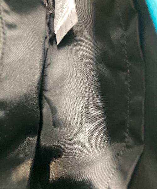 ARC'TERYX（アークテリクス）ARC'TERYX (アークテリクス) BEAMS (ビームス) ARRO WAIST PACK グレーの古着・服飾アイテム