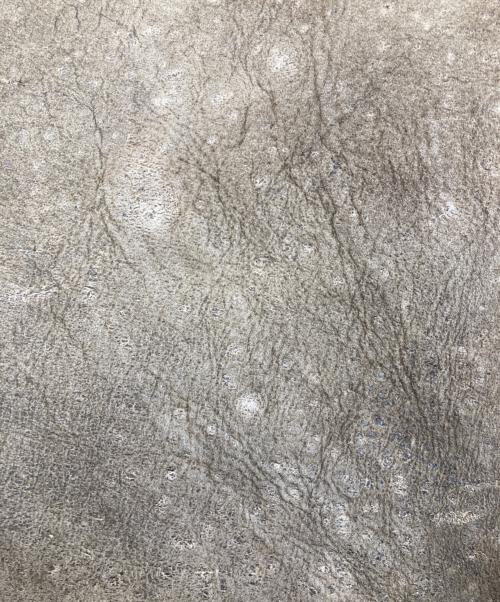 AVIREX（アヴィレックス）AVIREX (アヴィレックス) B-3ムートンジャケット ベージュ サイズ:42の古着・服飾アイテム