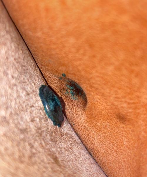 HENRY CUIR（アンリークイール）HENRY CUIR (アンリークイール) コインケース ブラウンの古着・服飾アイテム