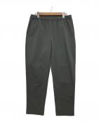THE NORTH FACEザ ノース フェイス）の古着「Apex Relax Pant」｜グレー
