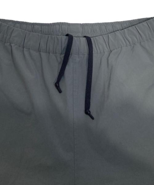 THE NORTH FACE（ザ ノース フェイス）THE NORTH FACE (ザ ノース フェイス) Apex Relax Pant グレー サイズ:Lの古着・服飾アイテム