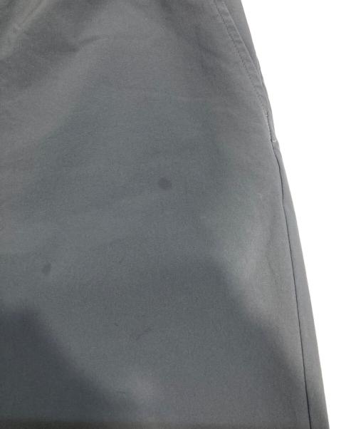 THE NORTH FACE（ザ ノース フェイス）THE NORTH FACE (ザ ノース フェイス) Apex Relax Pant グレー サイズ:Lの古着・服飾アイテム