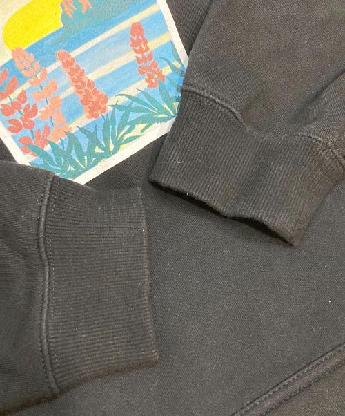 stussy（ステューシー）stussy (ステューシー) Coastal Hood Photo Fleece Lined ブラック サイズ:Ｍの古着・服飾アイテム