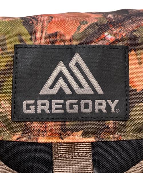 GREGORY（グレゴリー）GREGORY (グレゴリー) サミットデイリュック ブラウンの古着・服飾アイテム
