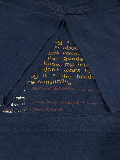 Bjork（ビョーク）Bjork (ビョーク) bjork 1994 THE LYRICAL TEXT NAVY TEE ネイビー サイズ:XLの古着・服飾アイテム