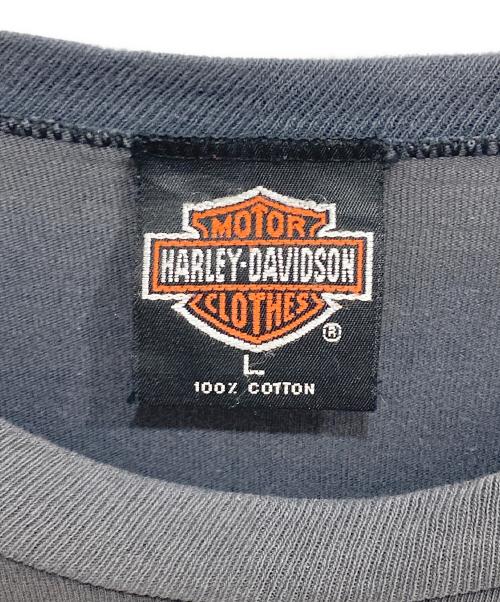 HARLEY-DAVIDSON（ハーレーダビッドソン）HARLEY-DAVIDSON (ハーレーダビッドソン) スネークプリントバイカーTシャツ フェードブラック サイズ:Lの古着・服飾アイテム