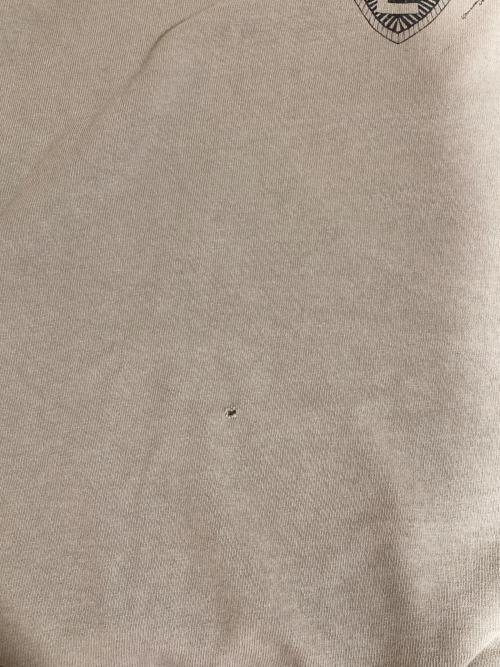 TOOL（トゥール）TOOL (トゥール) ヴィンテージバンドTシャツ グレーベージュ サイズ:XLの古着・服飾アイテム