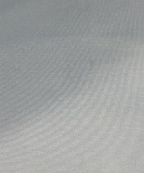 stussy（ステューシー）stussy (ステューシー) スカルプリントロンT ホワイト サイズ:Sの古着・服飾アイテム