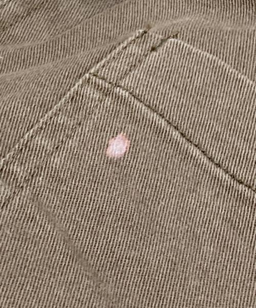 Samansa Mos2（サマンサモスモス）Samansa Mos2 (サマンサモスモス) KELTY (ケルティ) ツイルジップサロペット ブラウン サイズ:Freeの古着・服飾アイテム