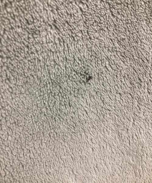 US ARMY（ユーエスアーミー）US ARMY (ユーエスアーミー) GENⅢ COLD WEATHER FLEECE JACKET カーキ サイズ:Lの古着・服飾アイテム