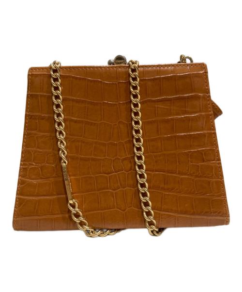 Salvatore Ferragamo（サルヴァトーレ フェラガモ）Salvatore Ferragamo (サルヴァトーレ フェラガモ) ヴァラリボン チェーンショルダーバッグ ブラウンの古着・服飾アイテム