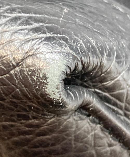 YOUNG & OLSEN The DRYGOODS STORE（ヤングアンドオルセン ザ ドライグッズストア）YOUNG & OLSEN The DRYGOODS STORE (ヤングアンドオルセン ザ ドライグッズストア) ハンドバッグ ブラックの古着・服飾アイテム