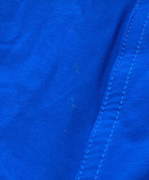 Patagonia（パタゴニア）Patagonia (パタゴニア) エブリデーショーツ ブルー サイズ:Mの古着・服飾アイテム