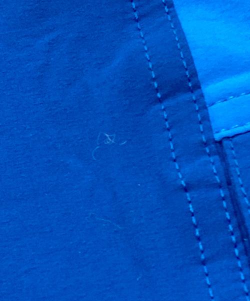 Patagonia（パタゴニア）Patagonia (パタゴニア) エブリデーショーツ ブルー サイズ:Mの古着・服飾アイテム