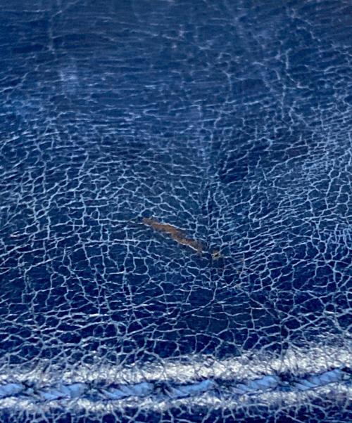 COACH（コーチ）COACH (コーチ) 2WAYショルダーバッグ ネイビーの古着・服飾アイテム