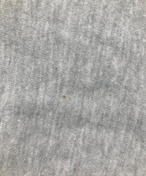 Champion REVERSE WEAVE（チャンピオン リバース ウィーブ）Champion REVERSE WEAVE (チャンピオン リバース ウィーブ) クルーネックスウェット グレー サイズ:Lの古着・服飾アイテム