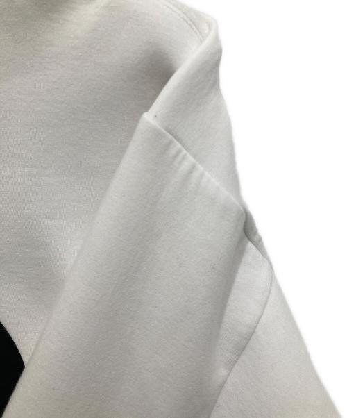 THE NORTH FACE（ザ ノース フェイス）THE NORTH FACE (ザ ノース フェイス) HYKE (ハイク) TEC AIR BIG TOP/ ホワイト サイズ:Sの古着・服飾アイテム