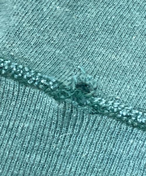 Champion（チャンピオン）Champion (チャンピオン) ヴィンテージプリントラグランスウェット グリーン サイズ:Mの古着・服飾アイテム